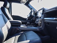 2025 Ford F-150 XLT | 4X4 | 2.7L | 303A | Blk Pk Pls | Roof | 20S