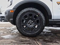 2026 Ford Bronco Sport Badlands | 4X4 | 2.0L | Roof | Tech Pkg | Crgo Mgm