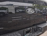 2026 Ford F-150 XLT | 4X4 | 3.5L | 302A | 157 |Blk Pk Pls |Bed Utl