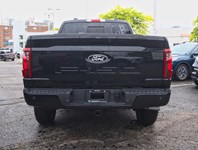 2026 Ford F-150 XLT | 4X4 | 3.5L | 302A | 157 |Blk Pk Pls |Bed Utl