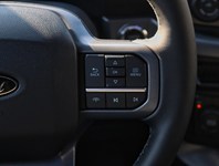 2026 Ford F-150 XLT | 4X4 | 5.0L | 303A | Blk Pk Pls | Roof | Bed