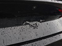 2026 Ford Mustang Ecoboost | 10-Spd Auto | Nite Pony Pkg | 19S