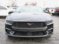 2026 Ford Mustang Ecoboost | 2.3L | 100A | Auto | Bronze Pkg
