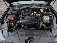 2026 Ford Mustang Ecoboost | 2.3L | 100A | Auto | Nite Pony Pkg