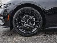 2026 Ford Mustang Ecoboost | 2.3L | 100A | Auto | Nite Pony Pkg