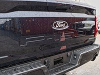 2026 Ford F-150 XLT | 4X4 | 3.5L | 302A | Blk Pk Pls | Bed Utl