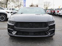 2026 Ford Mustang Ecoboost | 2.3L | 100A | Auto | Nite Pony Pkg