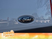 2025 Ford Transit-250 Cargo T-250 130