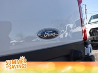 2025 Ford Transit-350 Cargo T-350 130