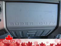 2024 FORD SUPER DUTY F-750 STRAIGHT FRAME Reg Cab