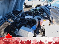 2024 FORD SUPER DUTY F-750 STRAIGHT FRAME Reg Cab