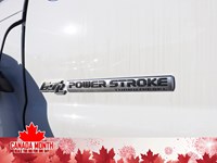 2024 FORD SUPER DUTY F-750 STRAIGHT FRAME Reg Cab