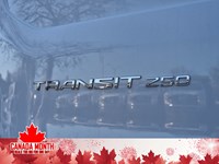 2025 Ford Transit-250 Cargo T-250 130