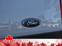 2025 Ford Transit-250 Cargo T-250 130