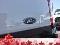 2025 Ford Transit-350 Cargo T-350 130