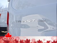 2025 Ford Transit-250 Cargo T-250 130
