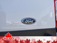 2025 Ford Transit-250 Cargo T-250 130