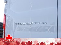 2025 Ford Transit-250 Cargo T-250 130
