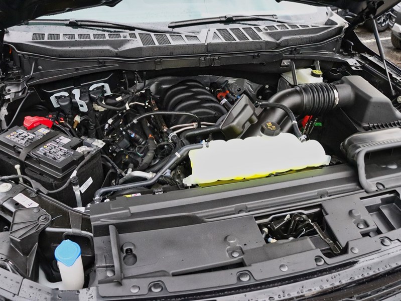 2026 Ford F-150 XLT | 4X4 | 5.0L | 303A |Blk Pk Pls |Roof |Bed Utl