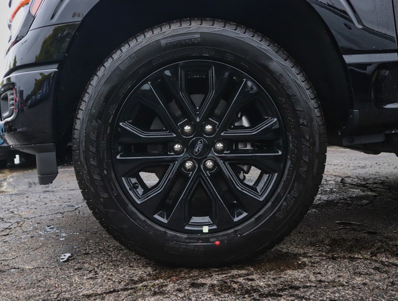 2026 Ford F-150 XLT | 4X4 | 3.5L | 302A | 157 |Blk Pk Pls |Bed Utl