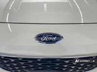 2022 Ford Escape Sel AWD