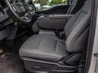 2024 Ford F-150 XLT 4WD Supercrew 5.5' Box