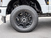 2026 Ford Super Duty F-250 Srw XL 4WD Reg Cab 8' Box