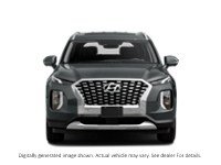 2021 Hyundai Palisade Luxury 7-Passenger AWD Exterior Shot 5