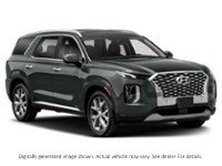 2021 Hyundai Palisade Luxury 7-Passenger AWD Exterior Shot 8