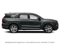 2021 Hyundai Palisade Luxury 7-Passenger AWD Exterior Shot 10