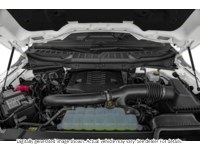 2023 Ford F-150 XLT 4WD Supercrew 5.5' Box Exterior Shot 3