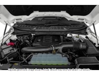 2021 Ford F-150 XLT 4WD Supercrew 5.5' Box Exterior Shot 3