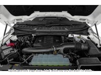 2023 Ford F-150 XLT 4WD Supercrew 5.5' Box Exterior Shot 3