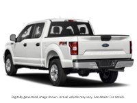 2019 Ford F-150 XLT | 4X4 | 3.5L | Max Tow | Nav | Fx4 | Tlgt Step Exterior Shot 10