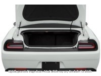 2020 Dodge Challenger R/T RWD Exterior Shot 4