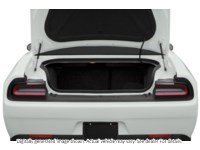 2020 Dodge Challenger R/T RWD Exterior Shot 4