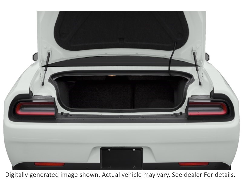 2020 Dodge Challenger R/T RWD Exterior Shot 4