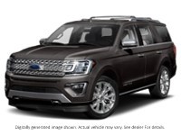 2020 Ford Expedition Platinum 4X4 Exterior Shot 1