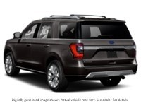 2020 Ford Expedition Platinum 4X4 Exterior Shot 9