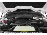 2021 Ford F-150 King Ranch 4WD Supercrew 5.5' Box Exterior Shot 3