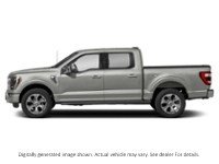 2023 Ford F-150 Platinum 4WD Supercrew 5.5' Box Exterior Shot 6