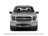 2023 Ford F-150 Platinum 4WD Supercrew 5.5' Box Exterior Shot 5