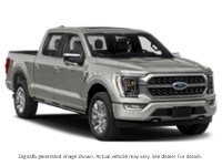 2023 Ford F-150 Platinum 4WD Supercrew 5.5' Box Exterior Shot 8