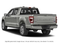 2023 Ford F-150 Platinum 4WD Supercrew 5.5' Box Exterior Shot 9