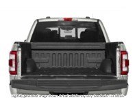 2023 Ford F-150 Platinum 4WD Supercrew 5.5' Box Exterior Shot 4