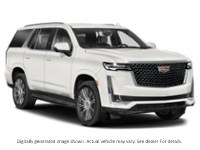 2021 Cadillac Escalade 4WD 4Dr Premium Luxury Exterior Shot 8