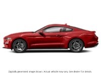 2023 Ford Mustang Ecoboost Premium | 2.3L | 201A | Auto | Nav | Leat Exterior Shot 6