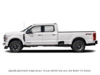 2024 Ford Super Duty F-350 Drw Platinum 4WD Crew Cab 8' Box Exterior Shot 6