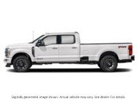 2024 Ford Super Duty F-350 Drw Platinum 4WD Crew Cab 8' Box Exterior Shot 6