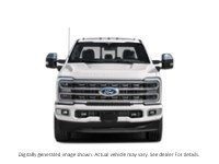2024 Ford Super Duty F-350 Drw Platinum 4WD Crew Cab 8' Box Exterior Shot 5